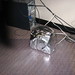 Kimberly Heater Photo 7