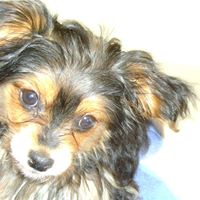Michele Fredericks Photo 8