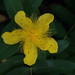 John Rainer Photo 18