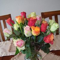 Brenda Goebel Photo 23