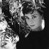 Teresa Russo Photo 7