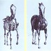 George Stubbs Photo 19