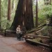 Michelle Muir Photo 38