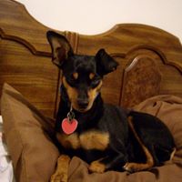 Kimberly Rowley Photo 7