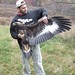 Todd Plummer Photo 5