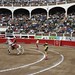 Ana Tellez Photo 22