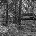 Georgia Hunter Photo 26