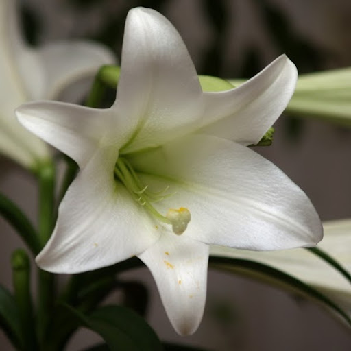 Quan Phan Photo 7