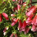 Heather Bush Photo 18