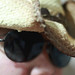 Brad Quick Photo 5