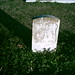 Richard Metcalf Photo 10