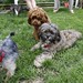 Frank Demarco Photo 11