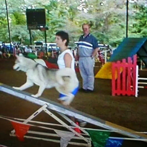 Gloria Sanders Photo 6