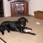 Jim Perkins Photo 37