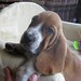 Wilma Male Photo 5