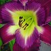 Jerry Salter Photo 18