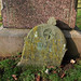 William Handley Photo 13