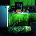 Jason Sanchez Photo 27