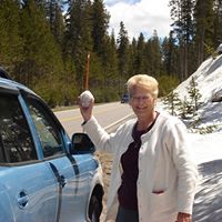 Terri Wolff Photo 7