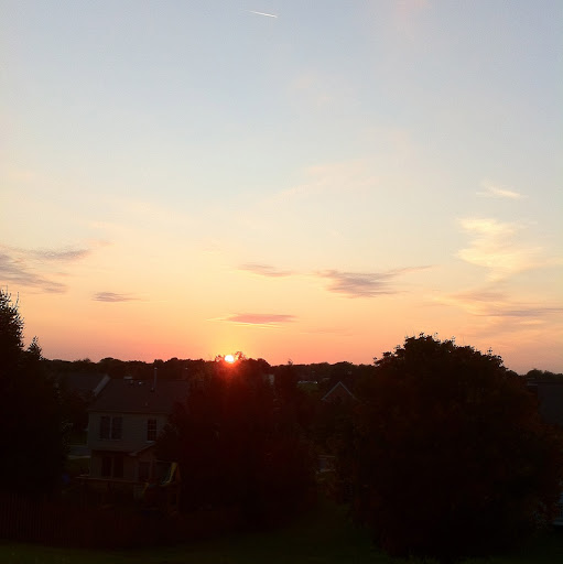 Julia Burchett Photo 13