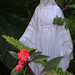 Mary Starr Photo 39
