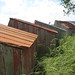 Cathy Hartman Photo 17
