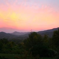 Suzanne Shepherd Photo 24