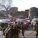 Star Morris Photo 18
