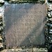 John Shelburne Photo 32