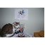 Christine Couture Photo 6