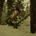 Allison Hardy Photo 20