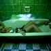 Ana Zambrano Photo 20
