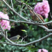 Debra Cardinal Photo 16