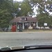 Virginia Nettles Photo 5