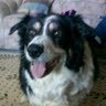 Sherry Pearson Photo 11