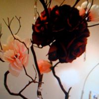 Cynthia Blanton Photo 8