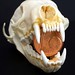 Marten Stone Photo 5