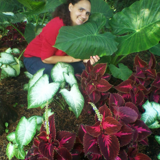 Teresa Evans Photo 39