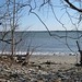 Glen Compton Photo 13