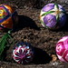 Susan Esposito Photo 12