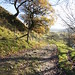 Autumn Roman Photo 11