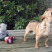 Terry Spaulding Photo 4