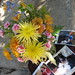 Teresa Stanfield Photo 11