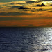 Frank Puglia Photo 23