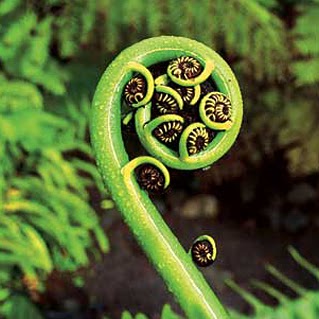 Wendy Lewis Photo 25