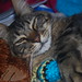 Maria Heinlein Photo 4