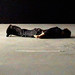 Justin Rodrigues Photo 15