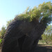 Susan Dougherty Photo 15