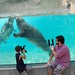 Cole Seal Photo 7