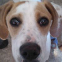 Matthew Groover Photo 4